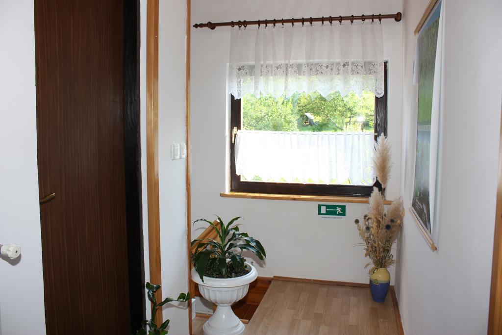 Apartment Jelena Seliste Dreznicko Værelse billede