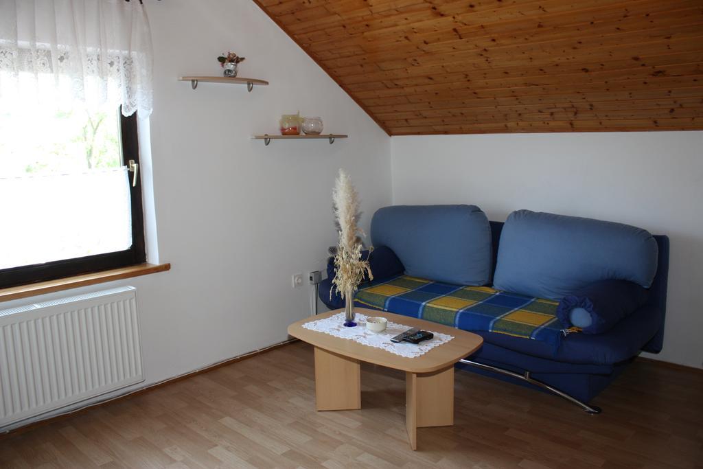 Apartment Jelena Seliste Dreznicko Værelse billede