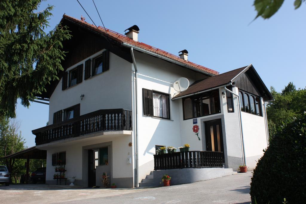 Apartment Jelena Seliste Dreznicko Værelse billede