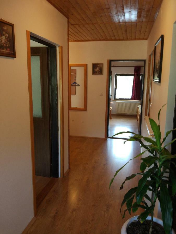 Apartment Jelena Seliste Dreznicko Eksteriør billede